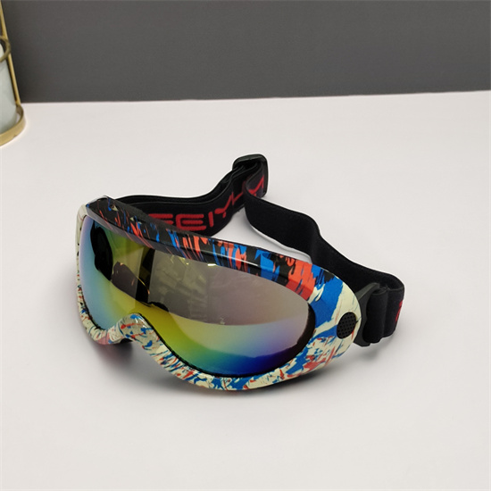 Oakley Ski Goggles 004
